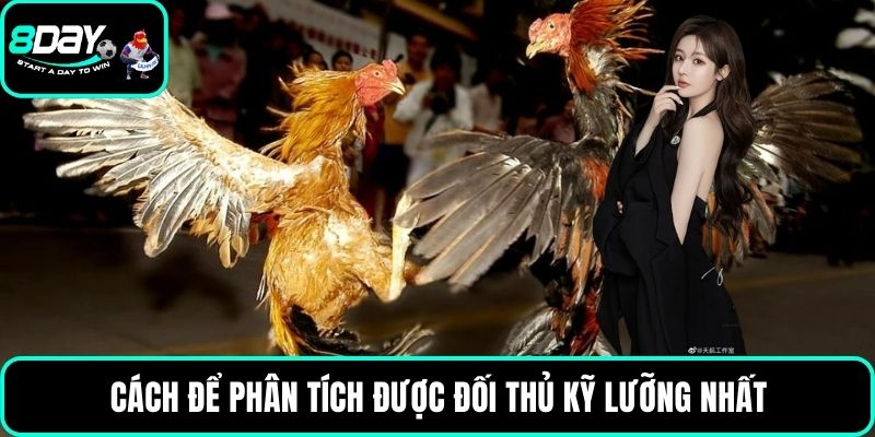 Cách để phân tích được đối thủ kỹ lưỡng nhất