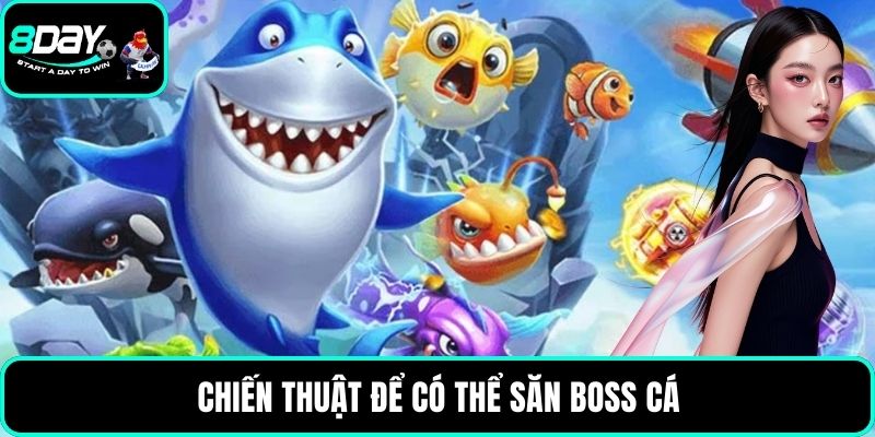 Chiến thuật để có thể săn boss cá
