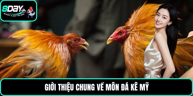 Giới thiệu chung về môn đá kê Mỹ