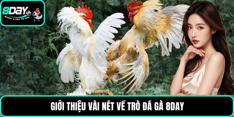 Giới thiệu vài nét về trò đá gà 8DAY