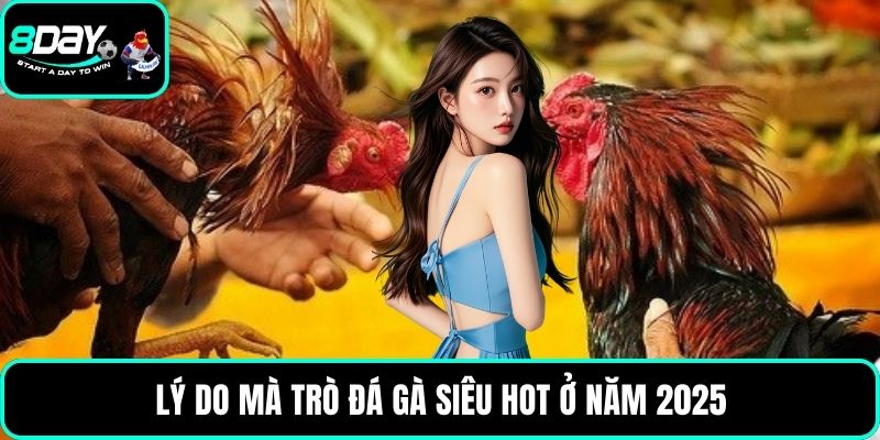 Lý do mà trò đá gà siêu hot ở năm 2025