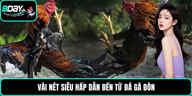 Vài nét siêu hấp dẫn đến từ đá gà đòn